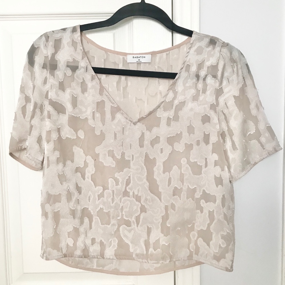 Aritzia Babaton Cropped Sheer Blouse